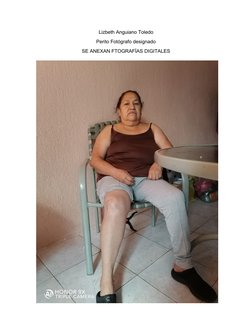 Lizbeth Anguiano Toledo
Perito Fotógrafo designado
SE ANEXAN FTOGRAFÍAS DIGITALES
