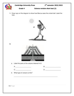Grade 4 Science Revision Test 2 | PDF