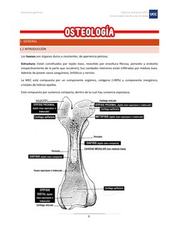 Anatomía general
Fabricio Giménez (VET)
Universidad Católica de Córdoba
8
Los huesos son órganos duros y resistentes, de apar