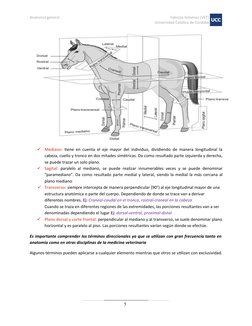 Anatomía general
Fabricio Giménez (VET)
Universidad Católica de Córdoba
5

Mediano: tiene en cuenta el eje mayor del individ