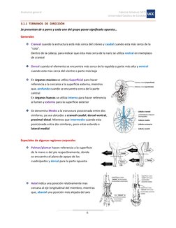 Anatomía general
Fabricio Giménez (VET)
Universidad Católica de Córdoba
6
3.1.1 TERMINOS DE DIRECCIÓN
Se presentan de a pares