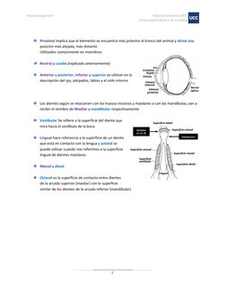 Anatomía general
Fabricio Giménez (VET)
Universidad Católica de Córdoba
7
Proximal implica que el elemento se encuentra más