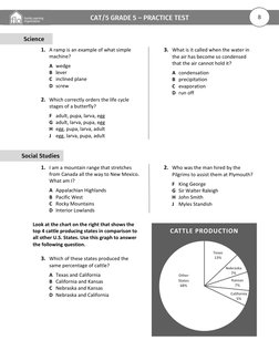 CAT/5 Grade 5 Practice Test Guide | PDF | Reading Comprehension ...