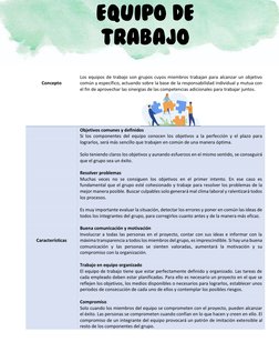 Concepto 
Los equipos de trabajo son grupos cuyos miembros trabajan para alcanzar un objetivo 
común y específico,