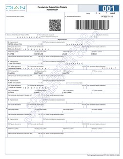 103. Número de tarjeta profesional
102. DV
101. Número de identificación