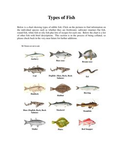Types Of Fish Ks1