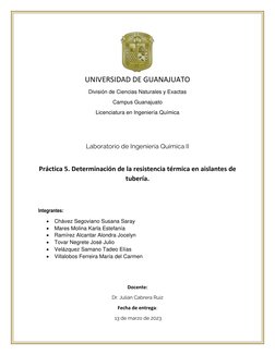 UNIVERSIDAD DE GUANAJUATO 
División de Ciencias Naturales y Exactas 
Campus Guanajuato 
Licenciatura en Ingeniería Quím