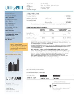 Utility Bill Summary and Payment Details | PDF | Economies | Power ...