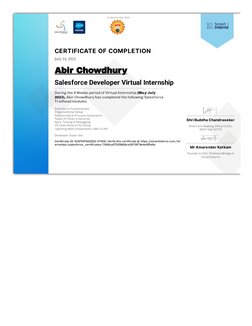 Salesforce Developer Internship Certificate | PDF