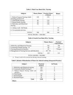 B.Sc. Nursing 4th Year Syllabus Overview | PDF