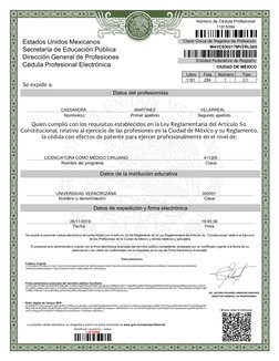 11815094
MAVC930217MVZRLS05
CIUDAD DE MÉXICO
1181
284
1
C1
CASSANDRA
MARTINEZ
VILLARREAL
LICENCIATURA COMO MÉDICO CIRUJANO
41