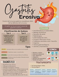 Clasificación de Sydney
Tipo A
La gastritis crónica
predominante en
el cuerpo y el
fundus gástrico, y
generalmente de
etiolog