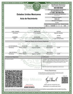 Clave Única de Registro de Población
AELA090905HSLRYXA8
Número de Certificado de Nacimiento
---------------
Entidad de Regist