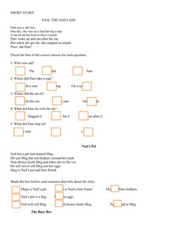 SHORT STORY
PAM, THE SAD LASS
Pam was a sad lass.
One day, she was on a mat having a nap.
A rat sat on her ham to have a snac