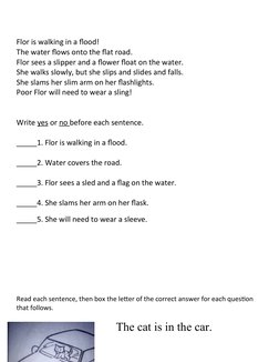 Flor is walking in a flood!
The water flows onto the flat road.
Flor sees a slipper and a flower float on the water.
She walk