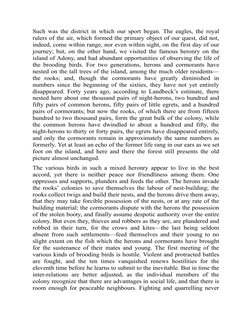 Such was the district in which our sport began. The eagles, the royal
rulers of the air, which formed the primary object of o