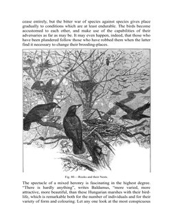 cease entirely, but the bitter war of species against species gives place
gradually to conditions which are at least endurabl