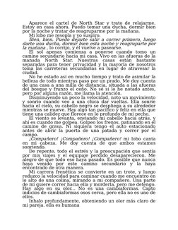 Aparece el cartel de North Star y trato de relajarme.
Estoy en casa ahora. Puedo tomar una ducha, dormir bien
por la noche y