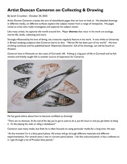 Collectinf Drawing Duncan Cameron: Art, Ecology, and Collecting | PDF | Art