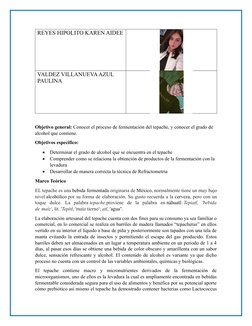 REYES HIPOLITO KAREN AIDEE
VALDEZ VILLANUEVA AZUL 
PAULINA
Objetivo general: Conocer el proceso de fermentación del tepache,
