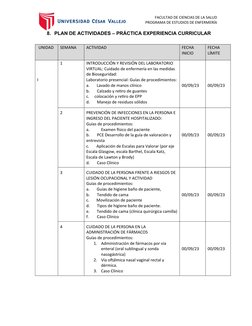 FACULTAD DE CIENCIAS DE LA SALUD
PROGRAMA DE ESTUDIOS DE ENFERMERÍA
8. PLAN DE ACTIVIDADES – PRÁCTICA EXPERIENCIA CURRICULAR