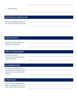 Other (specify)                           :
DESCRIPTION OF OBSERVATION
Provide a detailed description of 
the observed situat