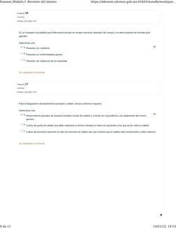 Pregunta 16
Correcta
Puntúa 1.00 sobre 1.00
Pregunta 17
Correcta
Puntúa 1.00 sobre 1.00
Es un huésped susceptible para infecc