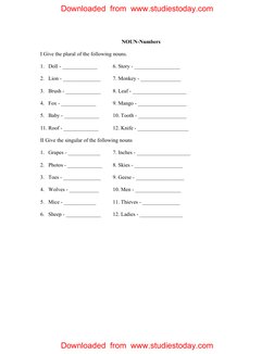 NOUN-Numbers 
I Give the plural of the following nouns. 
1. Doll - _____________ 
6. Story - _________________ 
2. Lion - _