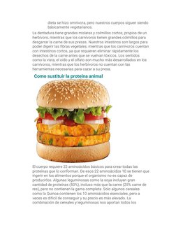 dieta se hizo omnívora, pero nuestros cuerpos siguen siendo 
básicamente vegetarianos. 
La dentadura tiene grandes molares y