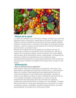Pilares de la salud 
La salud, en realidad, es un fenómeno integral, es decir que cubre los 
aspectos físico, emocional y m