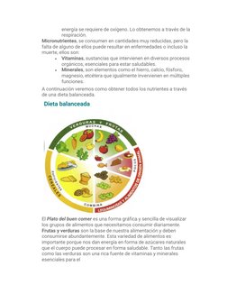 energía se requiere de oxígeno. Lo obtenemos a través de la 
respiración. 
Micronutrientes, se consumen en cantidades muy red