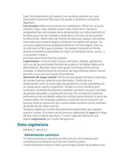 buen funcionamiento del cuerpo. Las verduras además son una 
importante fuente de fibra que nos ayuda a mantener una buena 
d