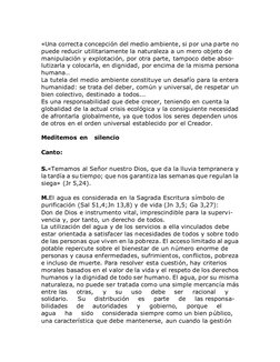 «Una correcta concepción del medio ambiente, si por una parte no 
puede reducir utilitariamente la naturaleza a un mero obj