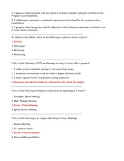 2. A group of related projects, with the objective to deliver business outcomes as defined in the 
Program Vision Statement.