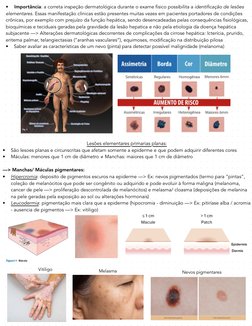 Lesões elementares primarias planas: 
•
São lesoes planas e circunscritas que afetam somente a epiderme e que podem adquirir