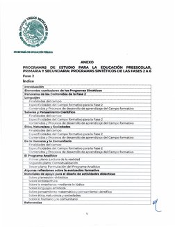Programa Sintético Fase 2 Preescolar | PDF | Educación de la primera ...
