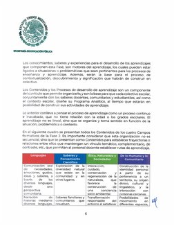Programa Sintético Fase 2 Preescolar | PDF | Educación de la primera ...
