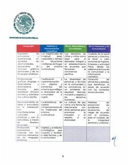 Programa Sintético Fase 2 Preescolar | PDF | Educación de la primera ...
