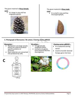 Botany Field Guide Page Example.pdf BSc 1st Year Botany Practical Guide | PDF | Plant Stem | Vector ...