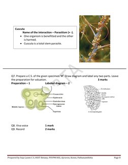 BSc 1st Year Botany Practical Guide | PDF | Plant Stem | Vector ...