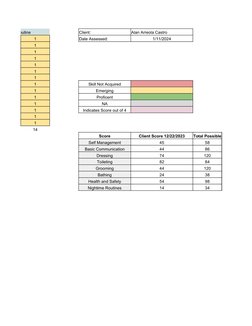 AFLS Assessment Scoring Overview | PDF