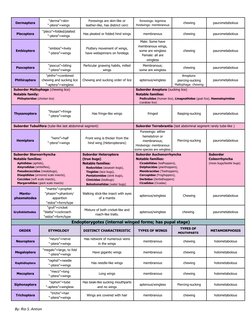 Dermaptera
“derma”=skin
“-ptera”=wings
Forewings are skin-like or
leather-like, has distinct cerci
forewings: tegmina
hindwin