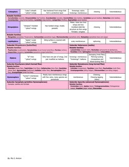 Coleoptera
“coleo”=sheath
“-ptera”=wings
Has hardened front wings that
form a protective layer
forewings: elytra
hindwings: m