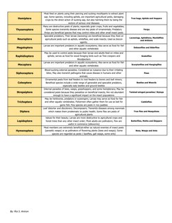Hemiptera
Most feed on plants using their piercing and sucking mouthparts to extract plant
sap; Some species, including aphid