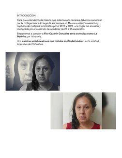 INTRODUCCION  
Para que entendamos la historia que estamos por narrarles debemos comenzar 
por la protagonista, a lo largo de