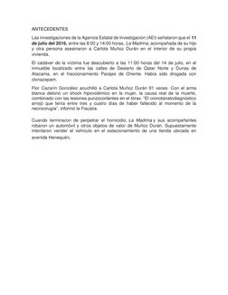 ANTECEDENTES  
Las investigaciones de la Agencia Estatal de Investigación (AEI) señalaron que el 11 
de julio del 2016, entre