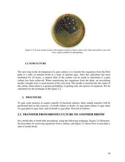 Microbiology Laboratory Manual 2023 | PDF | Growth Medium | Staining