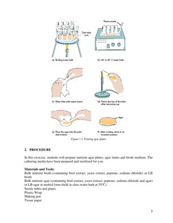 Microbiology Laboratory Manual 2023 | PDF | Growth Medium | Staining