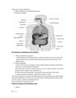 6 | P a g e  
-there are two types of digestion: 
(1) Physical digestion or mechanical digestion 
(2) Chemical digestion 
 
T