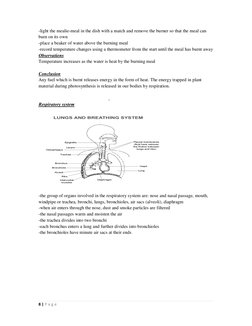 8 | P a g e  
-light the mealie-meal in the dish with a match and remove the burner so that the meal can 
burn on its own 
-p